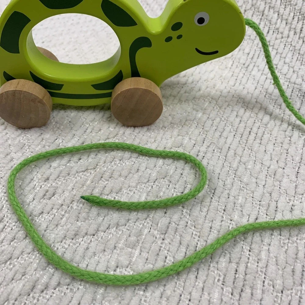 Hape Walk Along-Pull Along Wooden Turtle Toy‎ Rare HTF